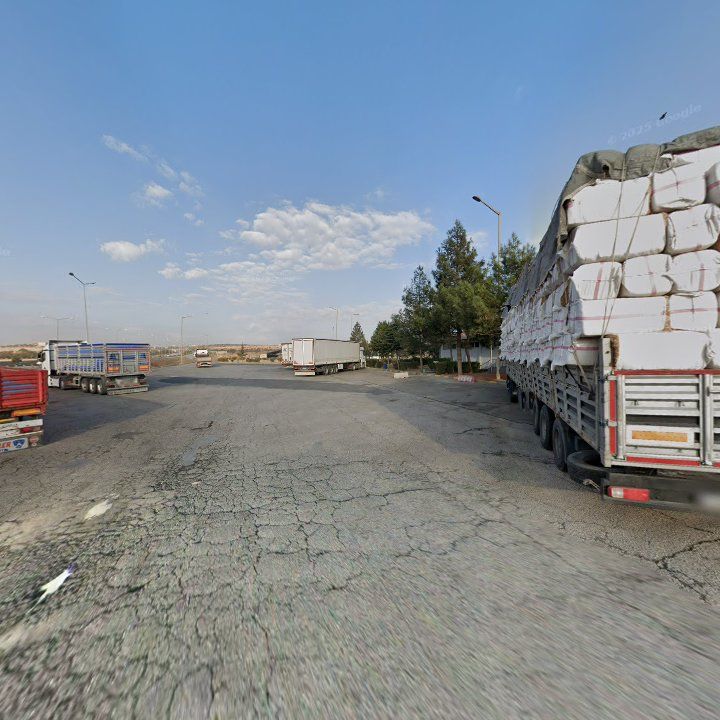 Fotoğraf 8