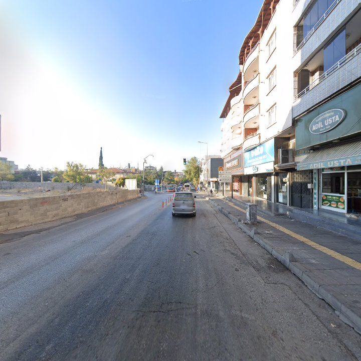 Fotoğraf 3