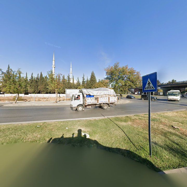 Fotoğraf 7