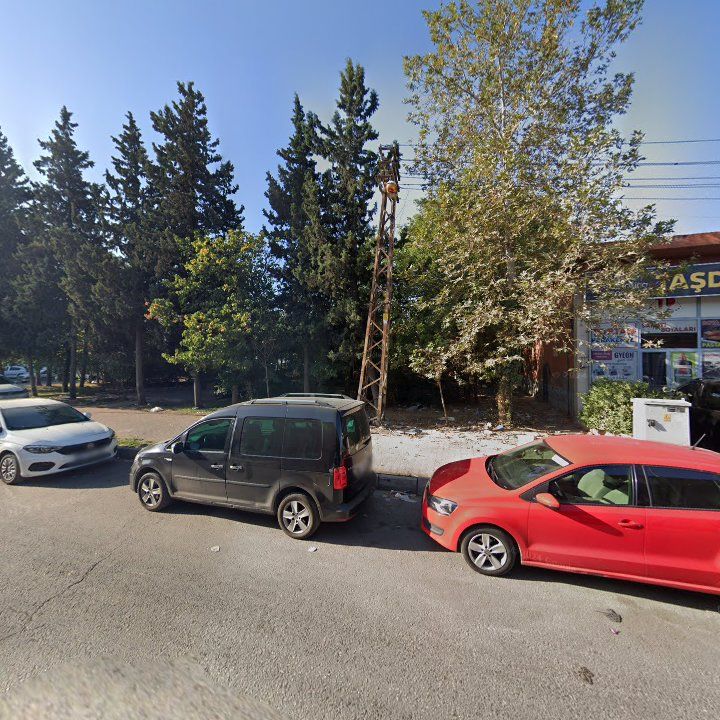 Fotoğraf 7