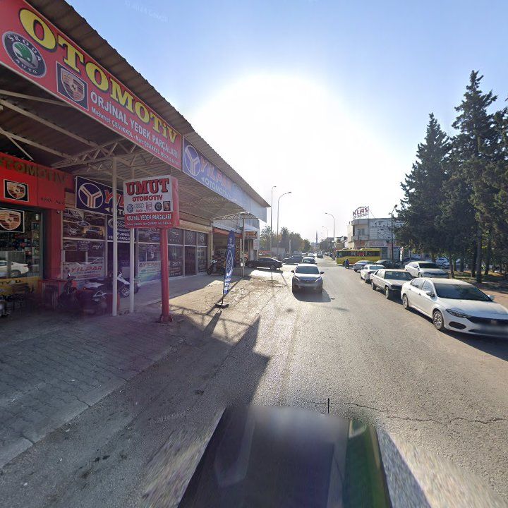 Fotoğraf 10