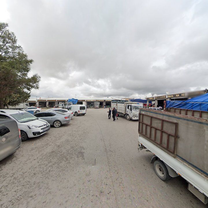 Fotoğraf 8