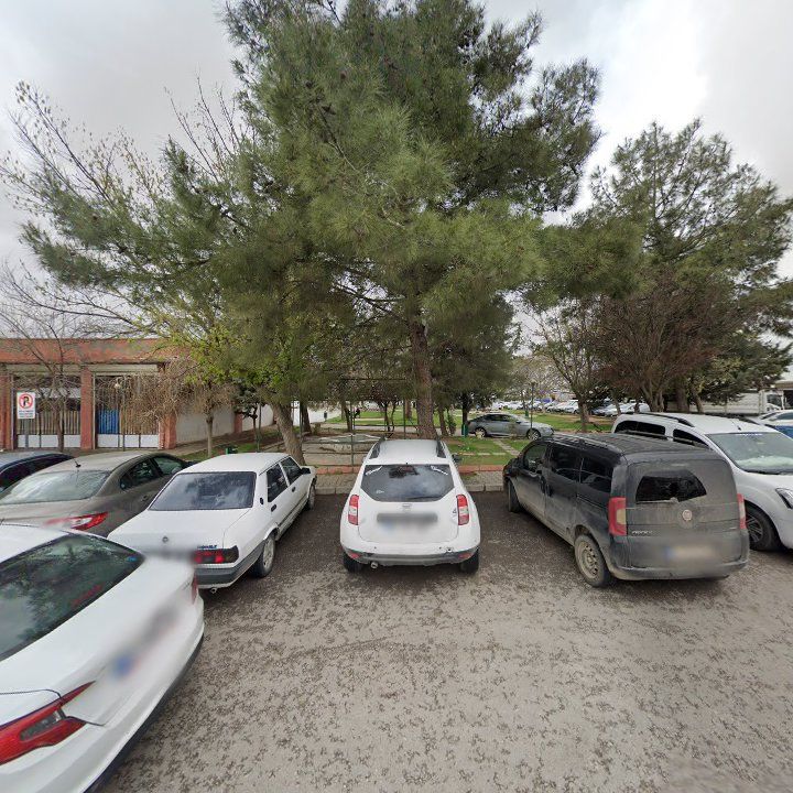 Fotoğraf 7