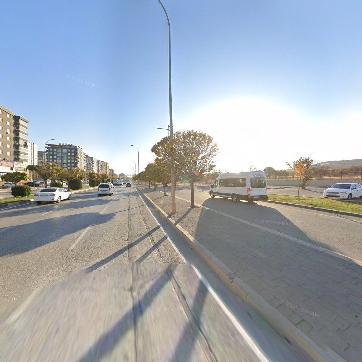 Fotoğraf 7