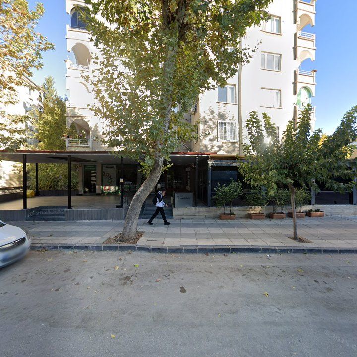 Fotoğraf 10
