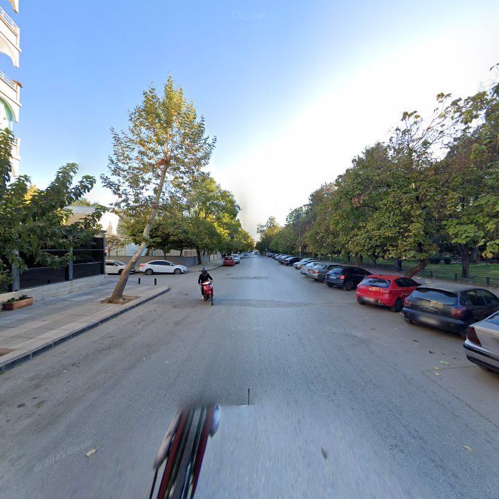 Fotoğraf 11