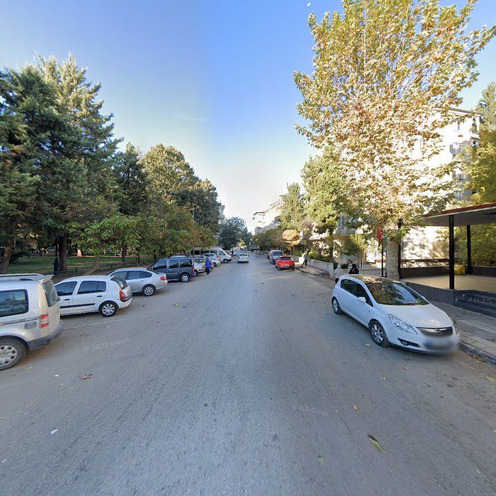 Fotoğraf 13