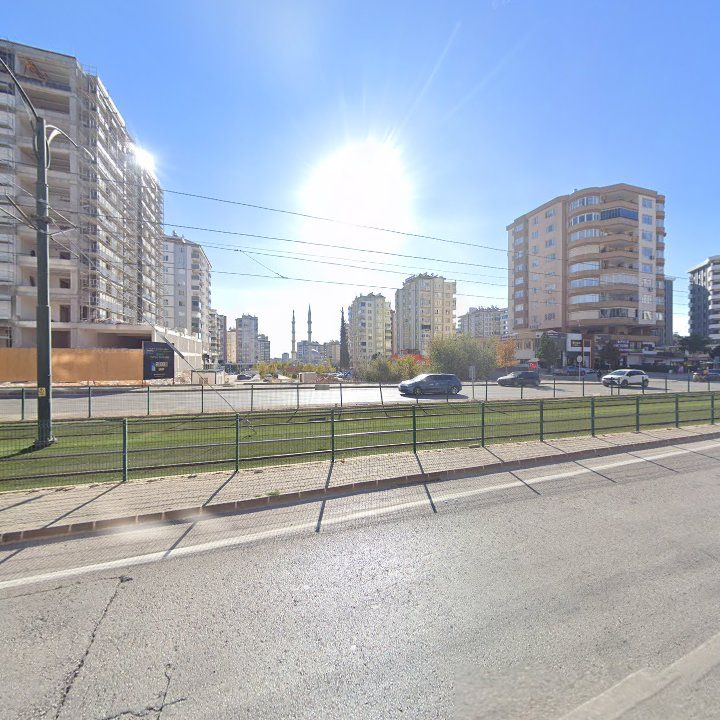Fotoğraf 10