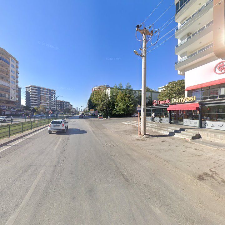 Fotoğraf 7