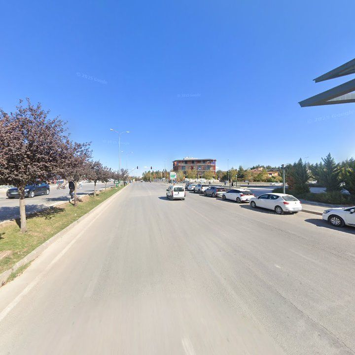 Fotoğraf 7