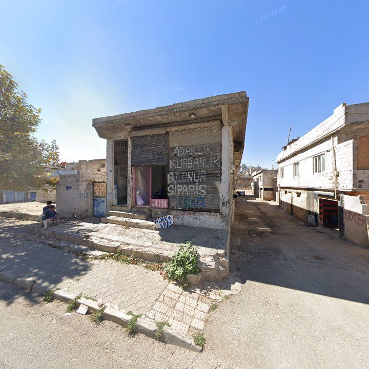 Fotoğraf 9