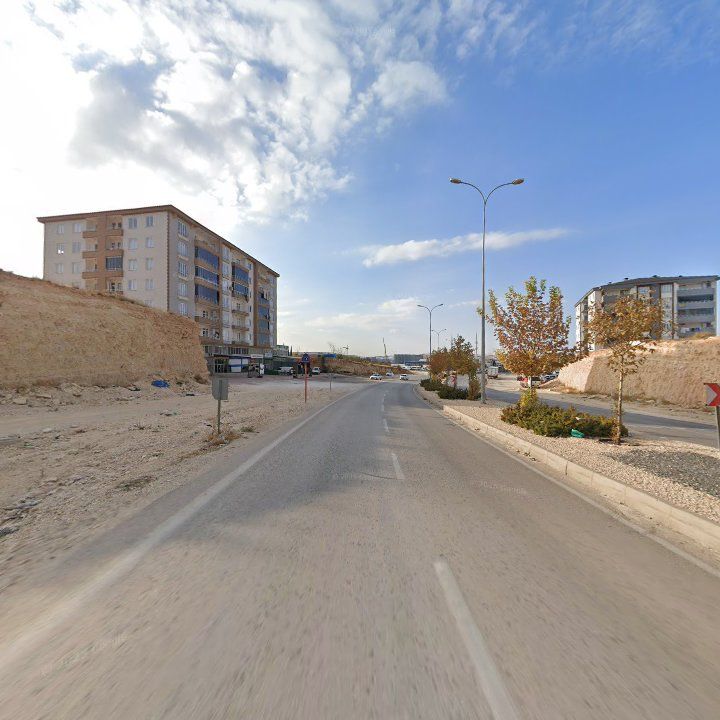 Fotoğraf 8