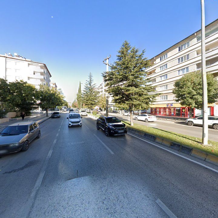 Fotoğraf 9