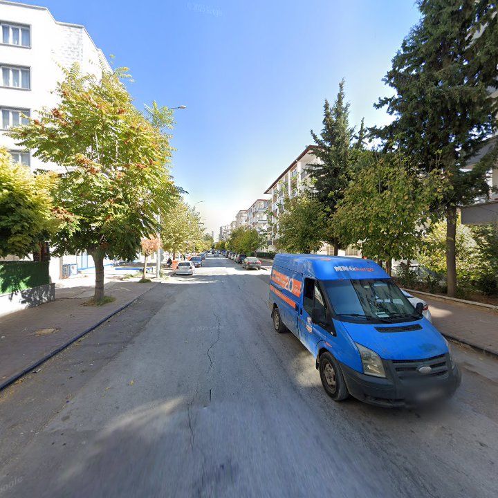 Fotoğraf 8