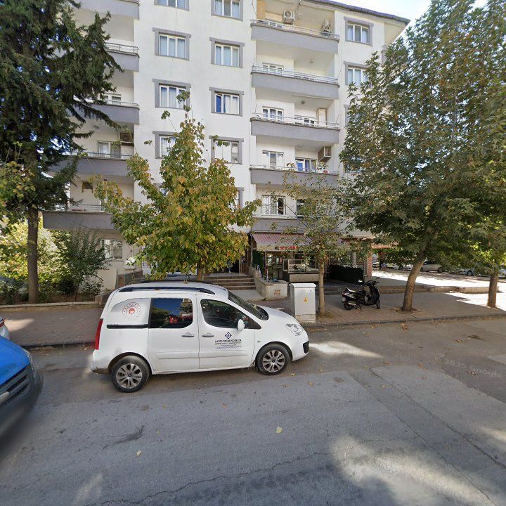 Fotoğraf 9