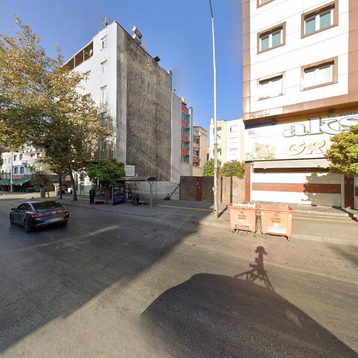 Fotoğraf 11