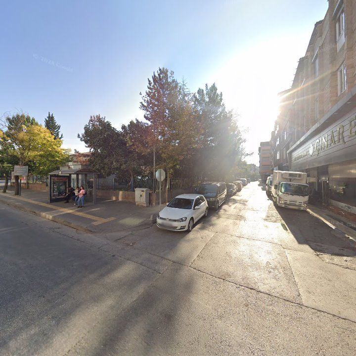Fotoğraf 9