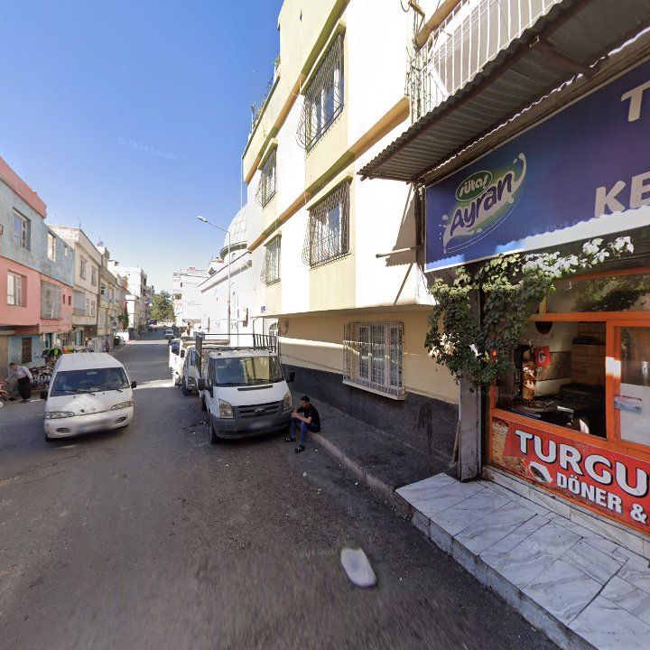 Fotoğraf 8