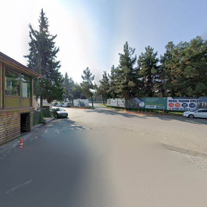 Fotoğraf 16