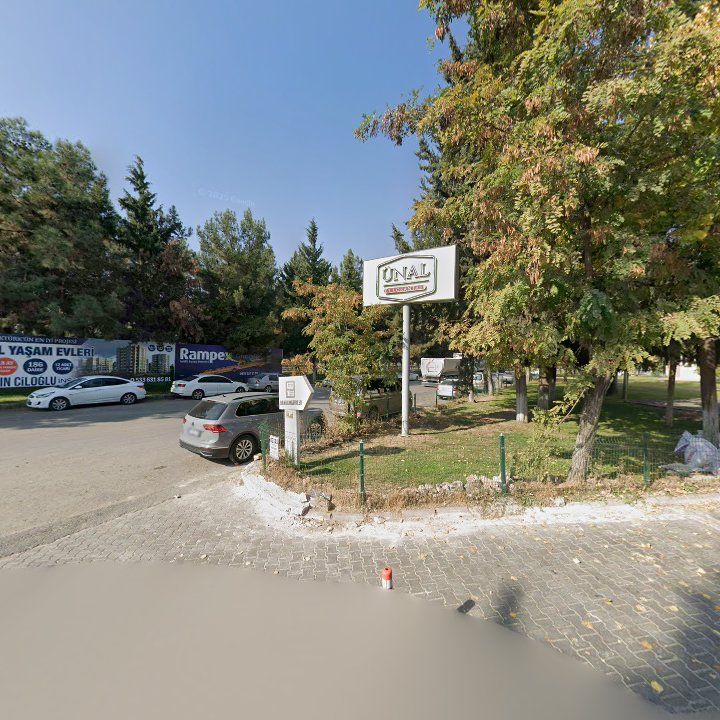 Fotoğraf 17