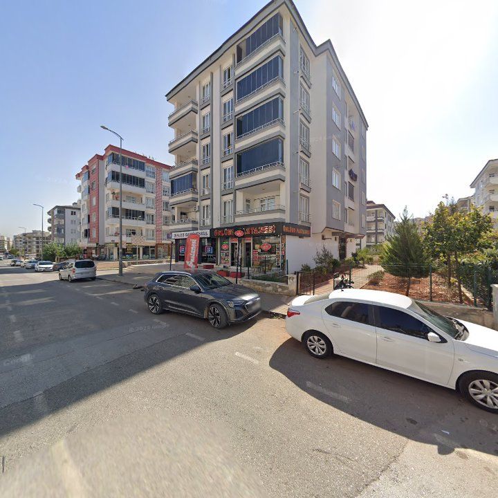 Fotoğraf 8