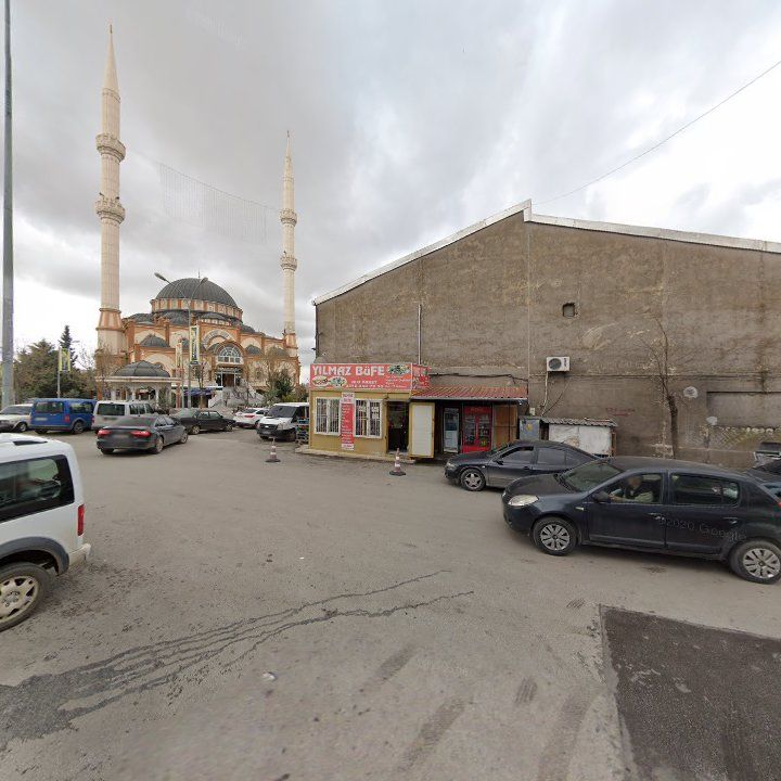 Fotoğraf 7