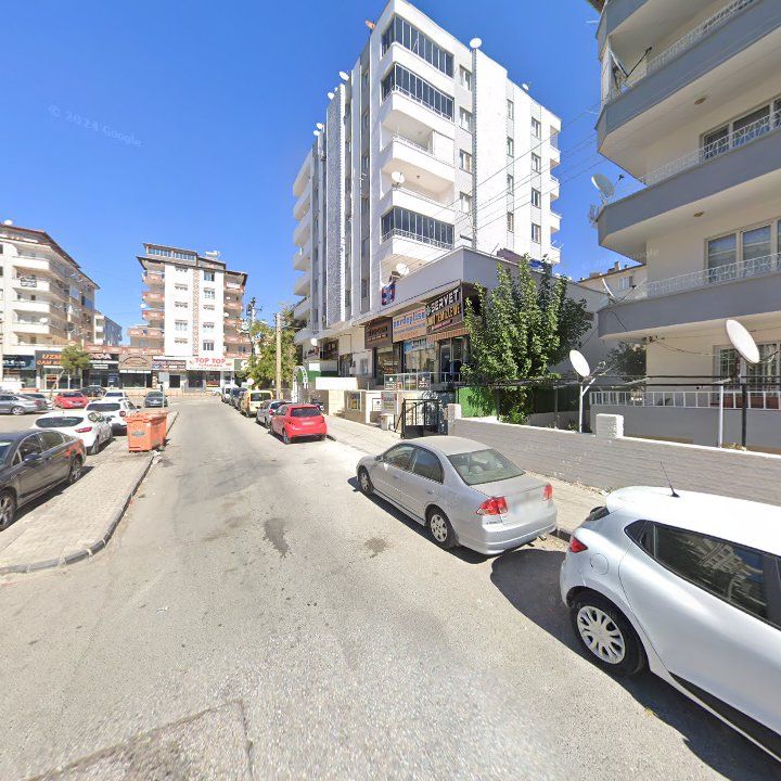 Fotoğraf 10