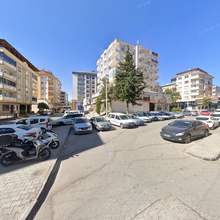 Fotoğraf 9