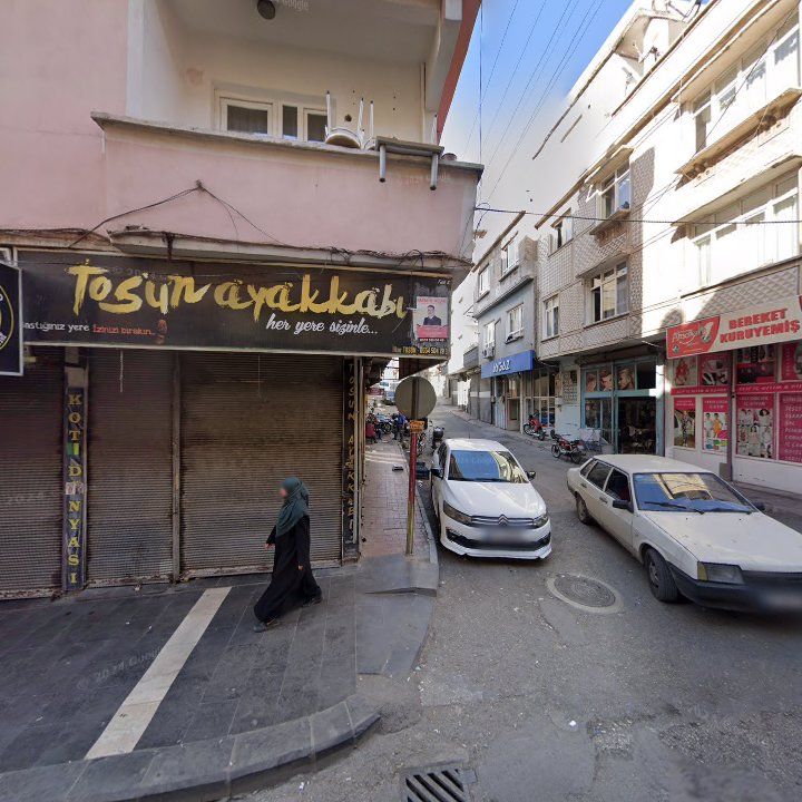 Fotoğraf 6