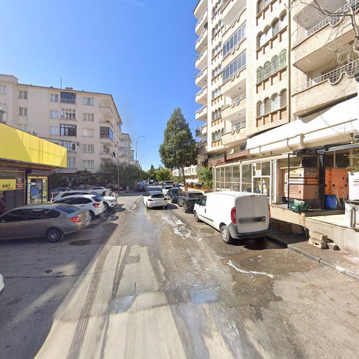 Fotoğraf 13