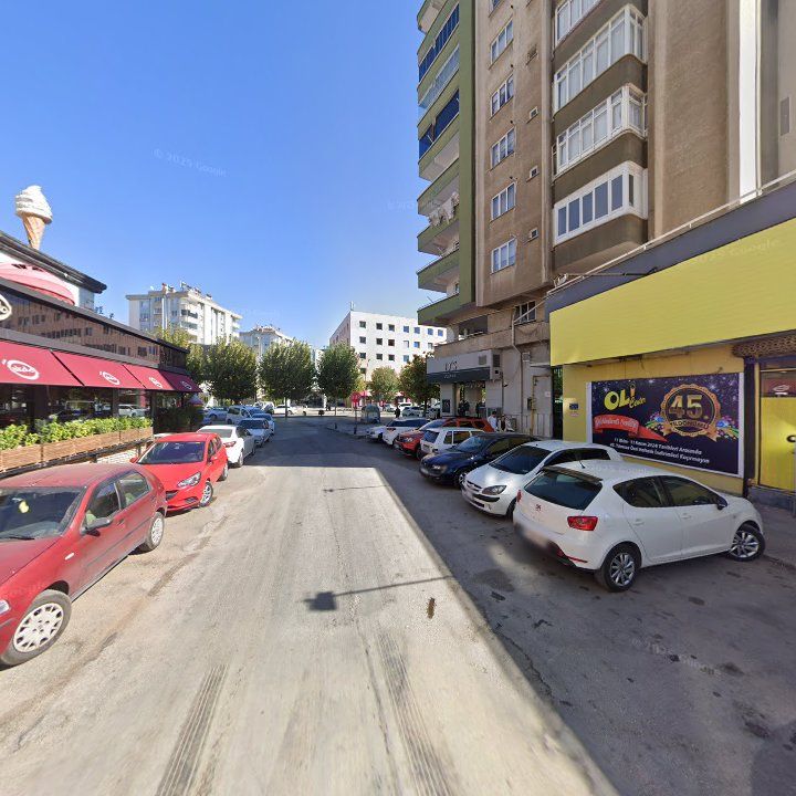 Fotoğraf 11