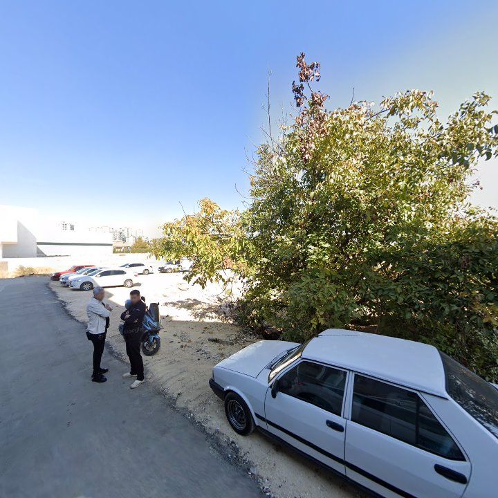 Fotoğraf 11