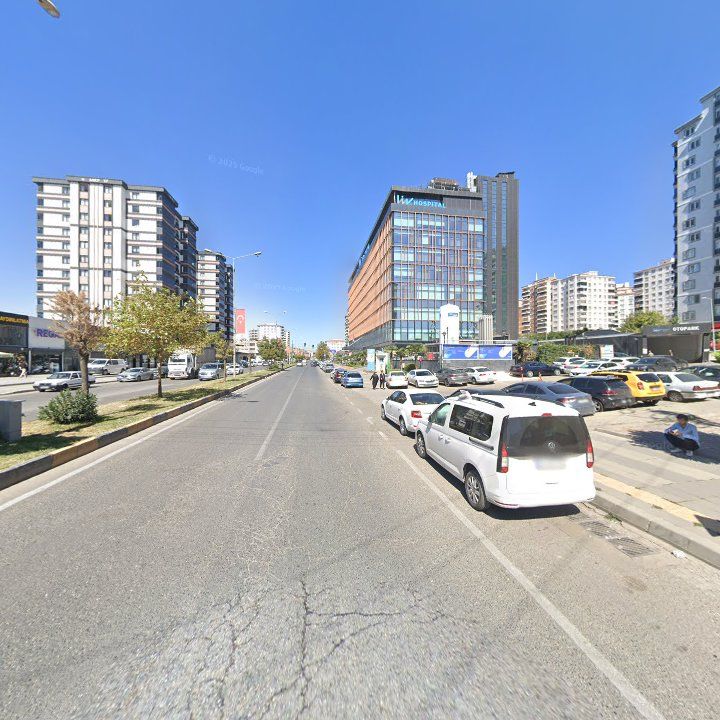 Fotoğraf 11