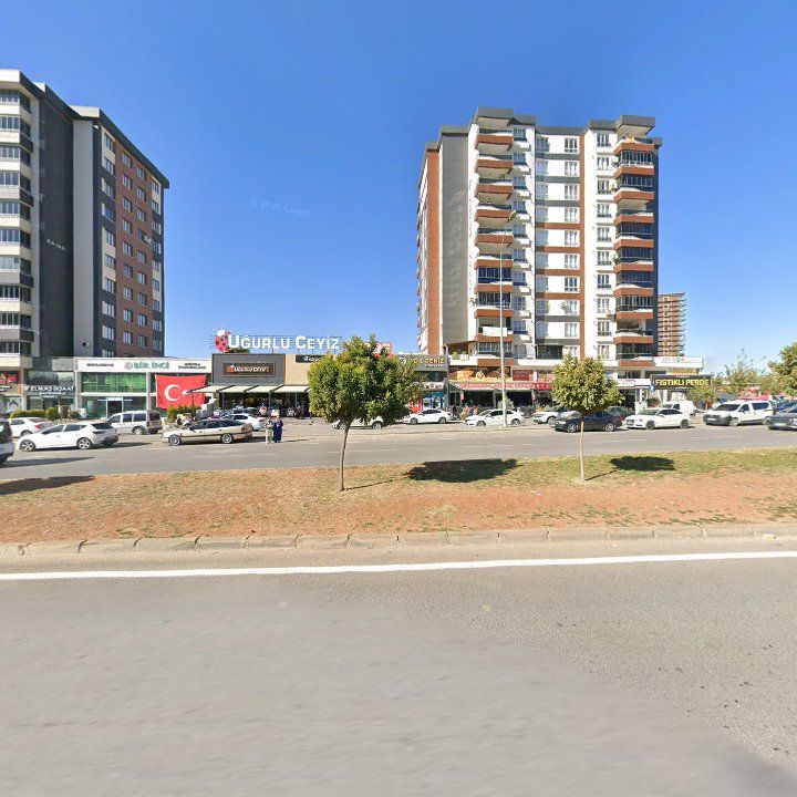 Fotoğraf 9