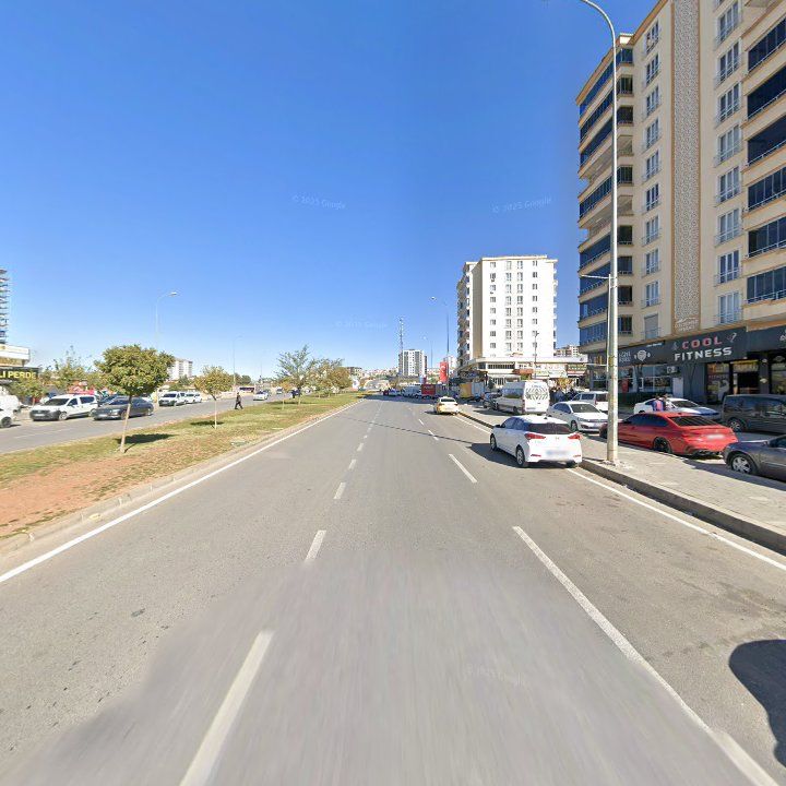 Fotoğraf 10