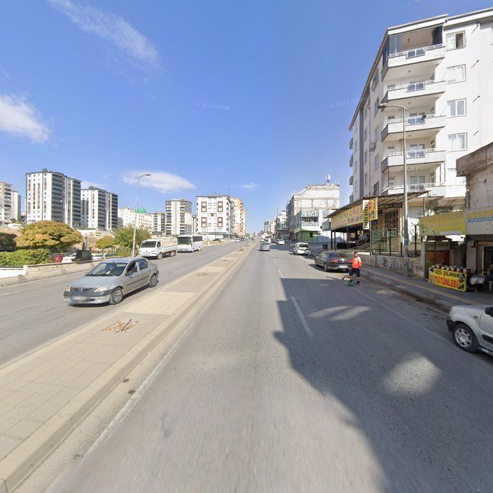 Fotoğraf 8