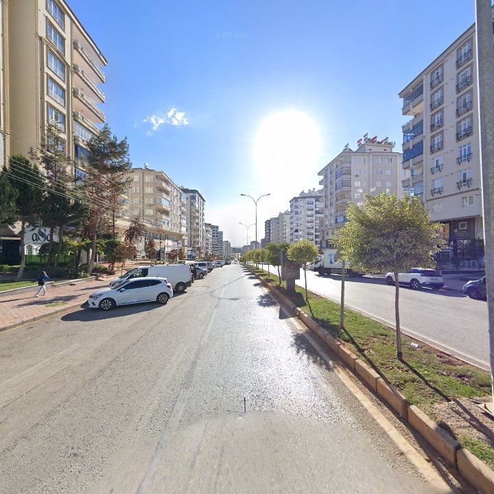 Fotoğraf 12