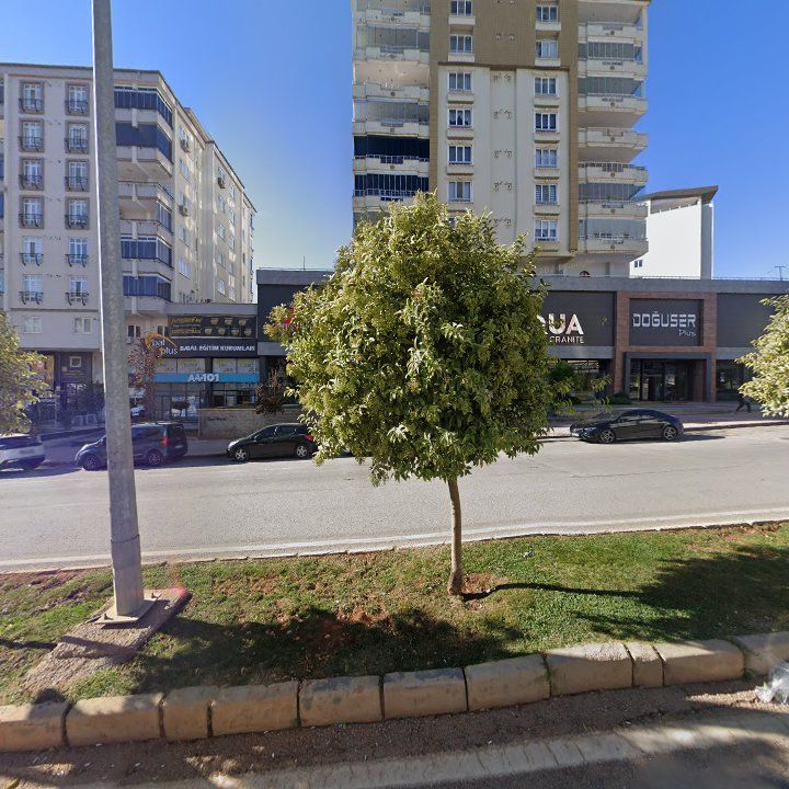 Fotoğraf 13