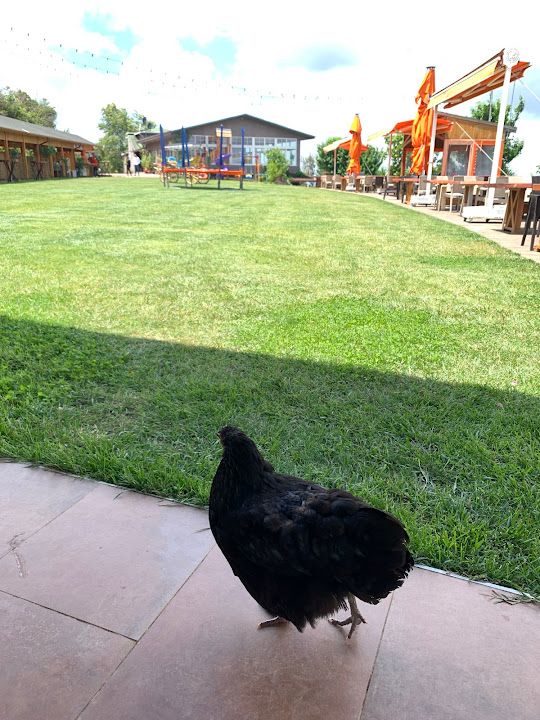 Yorum fotoğrafı 3