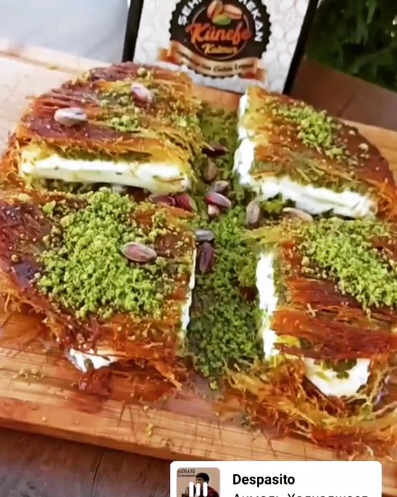 Fotoğraf 23