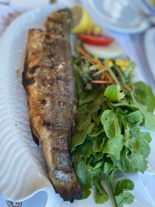 Fotoğraf 52