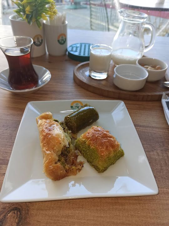 Fotoğraf 14