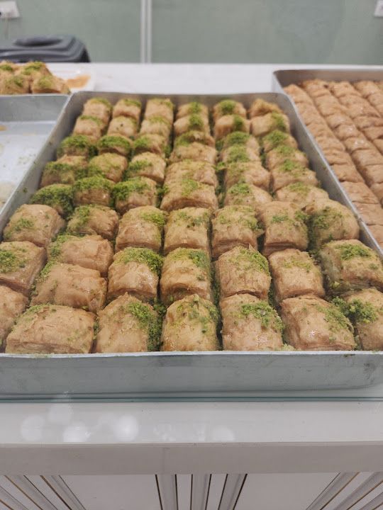 Fotoğraf 13