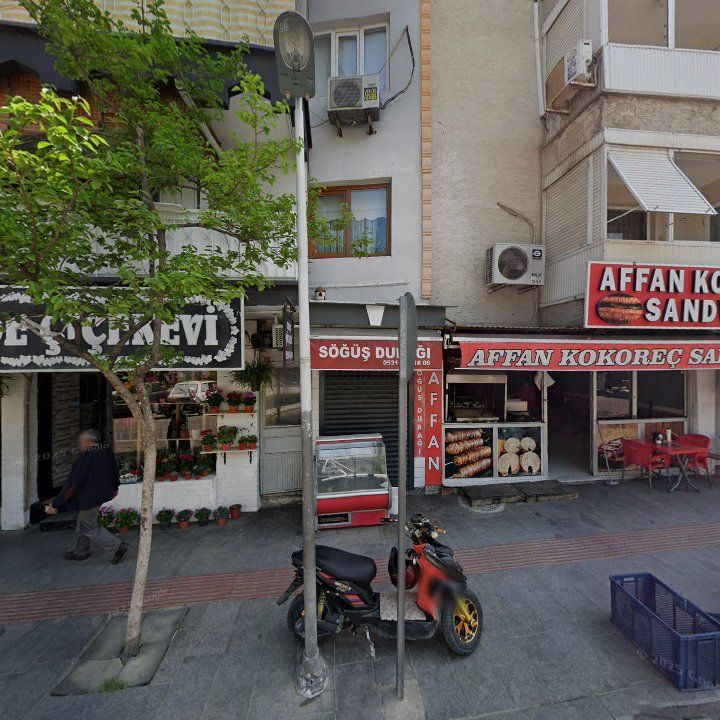 Fotoğraf 11