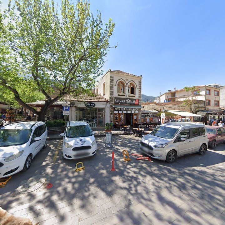 Fotoğraf 7