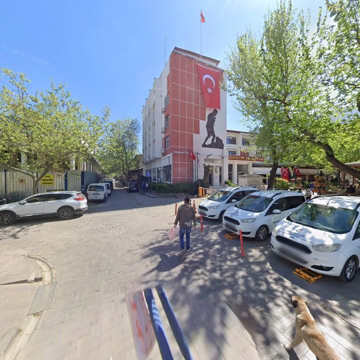 Fotoğraf 6