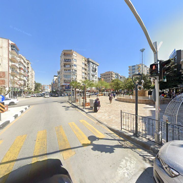 Fotoğraf 12