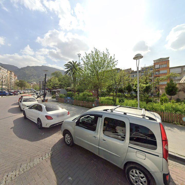 Fotoğraf 11