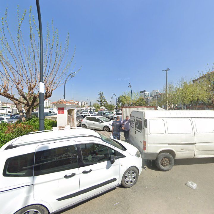 Fotoğraf 8