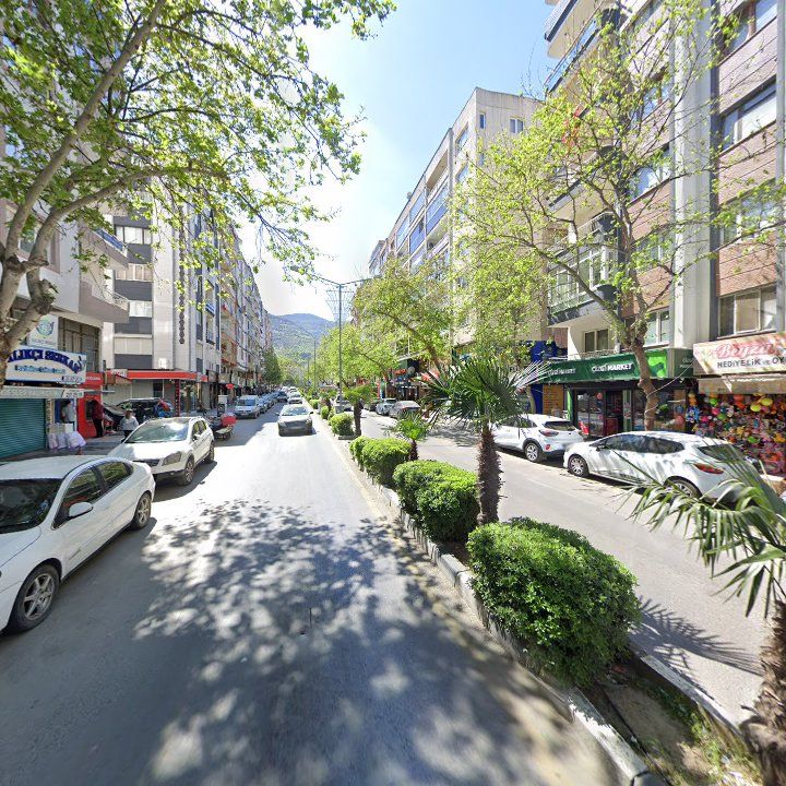 Fotoğraf 9